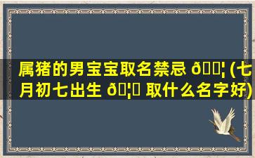 属猪的男宝宝取名禁忌 🐦 (七月初七出生 🦆 取什么名字好)